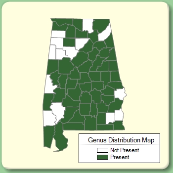 Genus Distribution Map