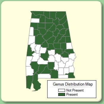 Genus Distribution Map