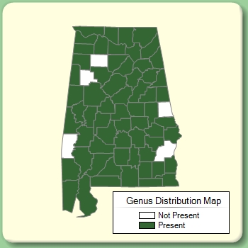 Genus Distribution Map