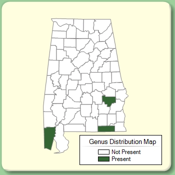 Genus Distribution Map