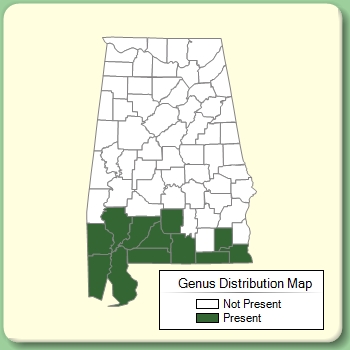 Genus Distribution Map