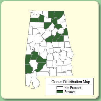 Genus Distribution Map