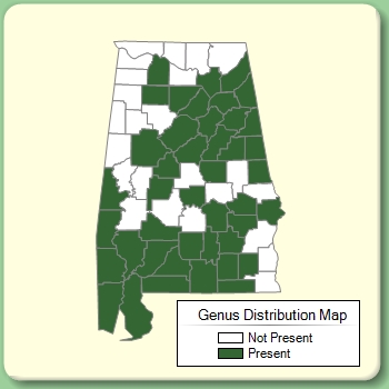 Genus Distribution Map