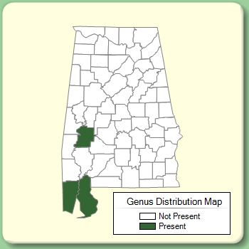 Genus Distribution Map