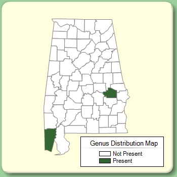 Genus Distribution Map