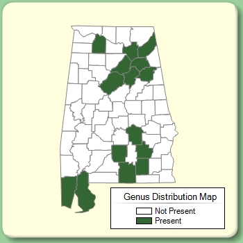 Genus Distribution Map