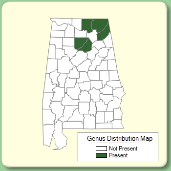 Genus Distribution Map