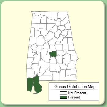 Genus Distribution Map