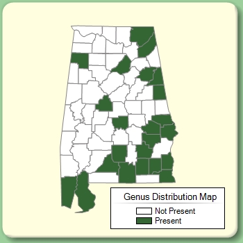 Genus Distribution Map