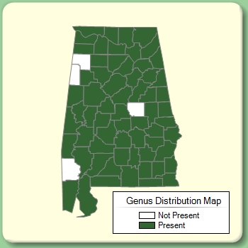 Genus Distribution Map