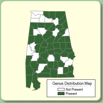 Genus Distribution Map