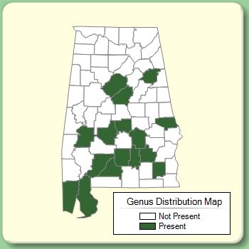 Genus Distribution Map