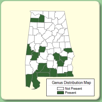 Genus Distribution Map