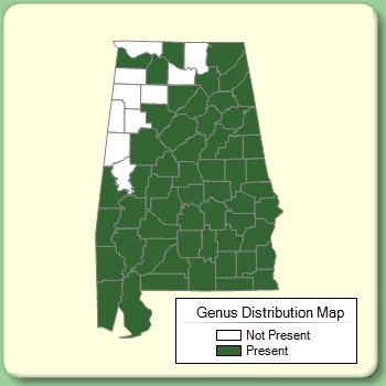 Genus Distribution Map