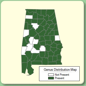 Genus Distribution Map