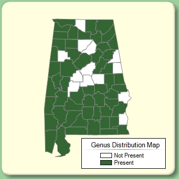 Genus Distribution Map