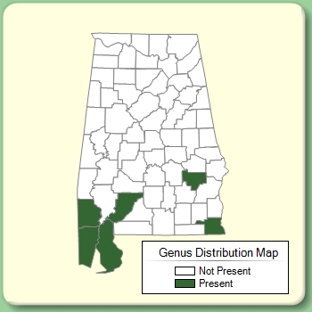 Genus Distribution Map