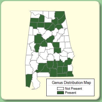 Genus Distribution Map