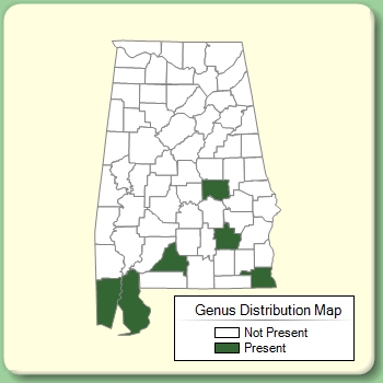 Genus Distribution Map