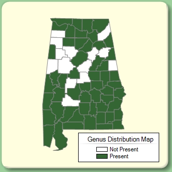 Genus Distribution Map