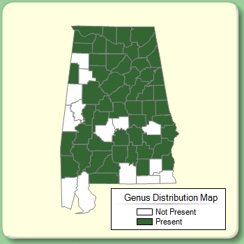 Genus Distribution Map