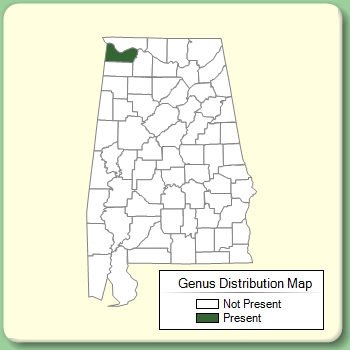 Genus Distribution Map