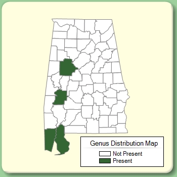 Genus Distribution Map