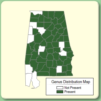 Genus Distribution Map