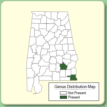 Genus Distribution Map