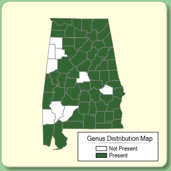 Genus Distribution Map