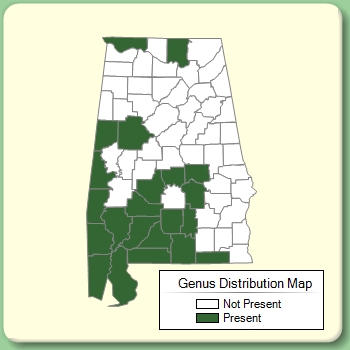 Genus Distribution Map