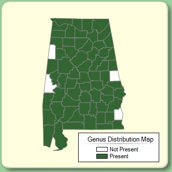 Genus Distribution Map