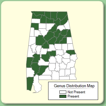 Genus Distribution Map