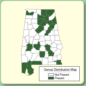 Genus Distribution Map