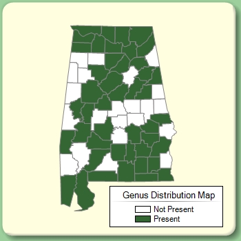 Genus Distribution Map