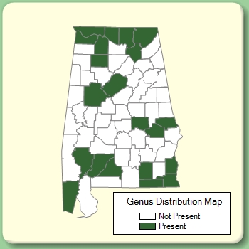 Genus Distribution Map