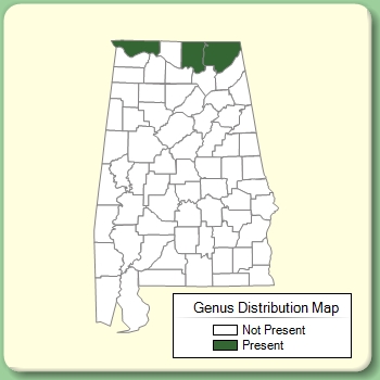 Genus Distribution Map