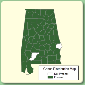 Genus Distribution Map