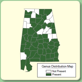 Genus Distribution Map