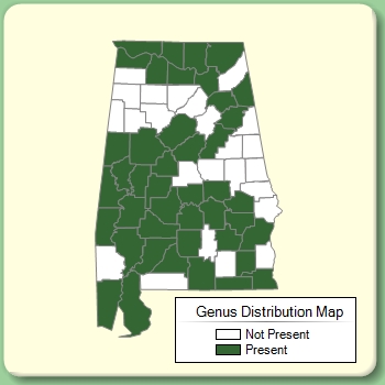 Genus Distribution Map