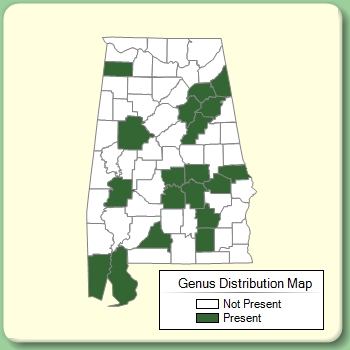 Genus Distribution Map