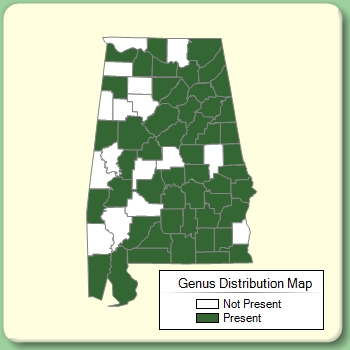 Genus Distribution Map