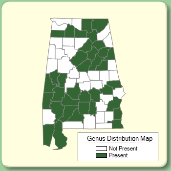 Genus Distribution Map