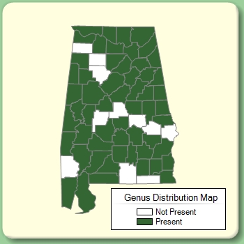 Genus Distribution Map