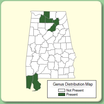 Genus Distribution Map