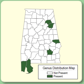 Genus Distribution Map