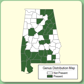 Genus Distribution Map