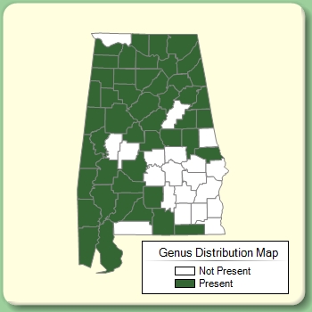 Genus Distribution Map