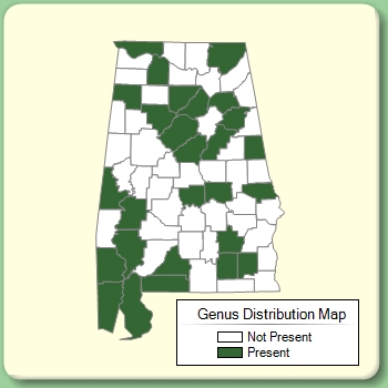 Genus Distribution Map