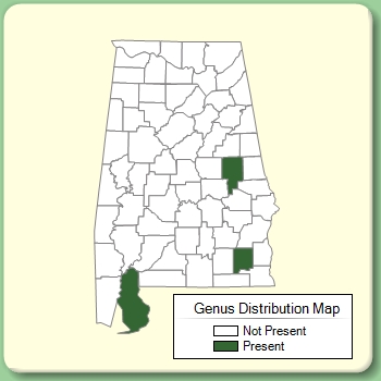 Genus Distribution Map